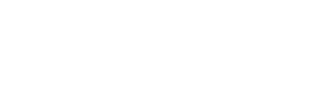 Nicks-BBQ-large-white-logo